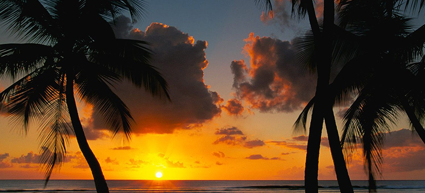 This is an example of a caption 电话呼叫软件网页版